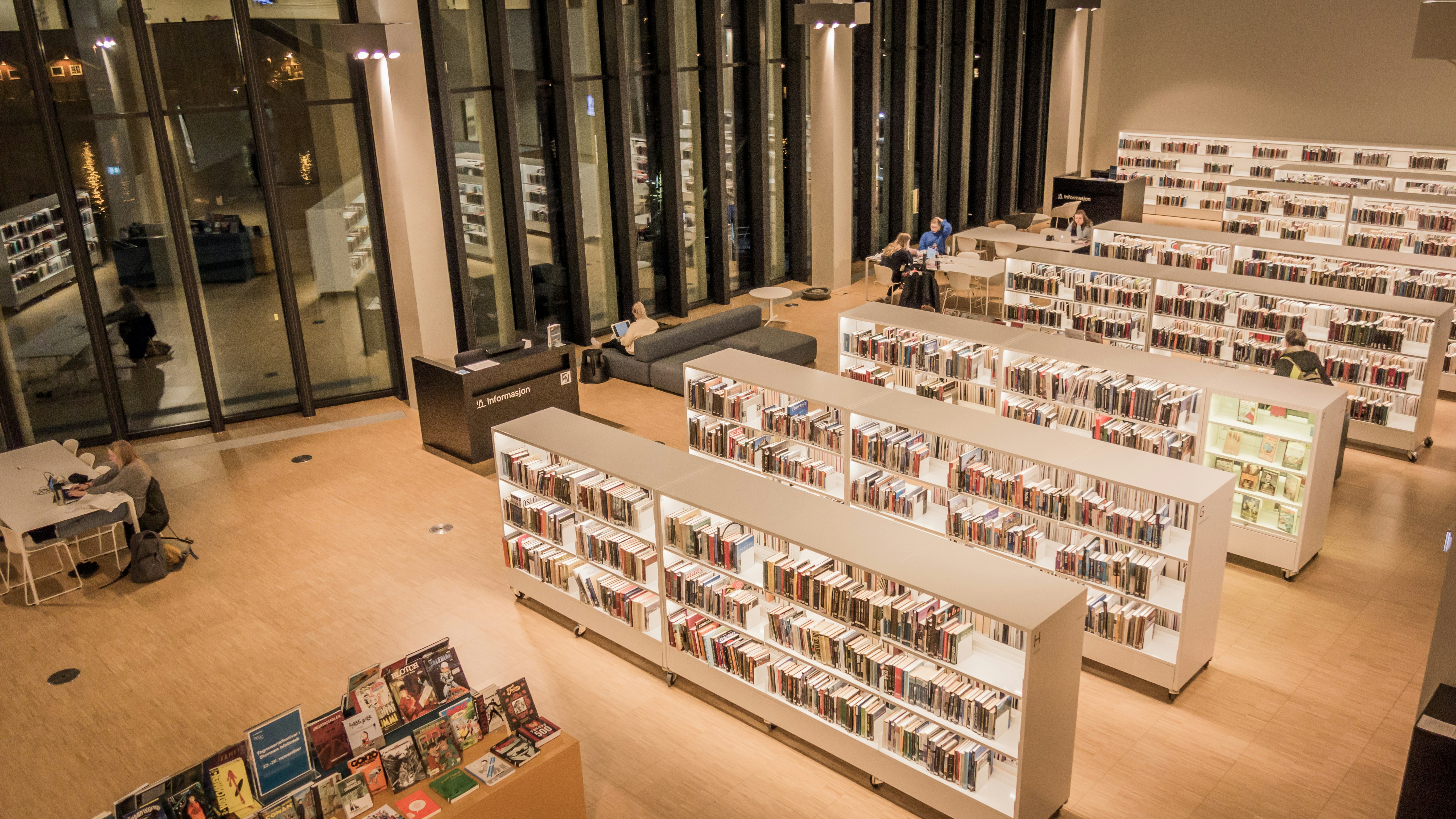 Person reading financial education book at bright library desk with good natural lighting