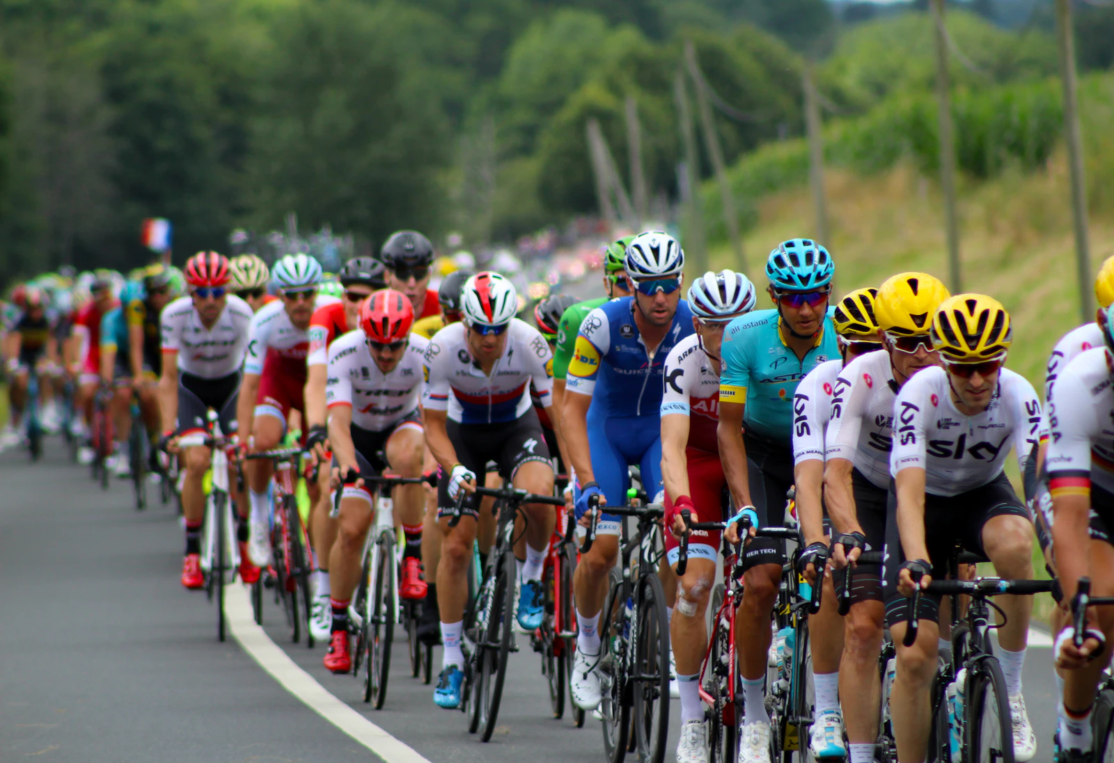 A professional peloton racing along a country road