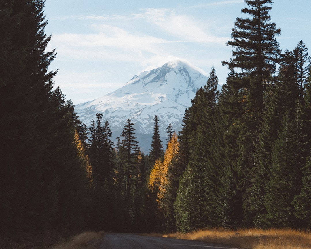 Mountain photo spot Mount Hood Trillium Lake