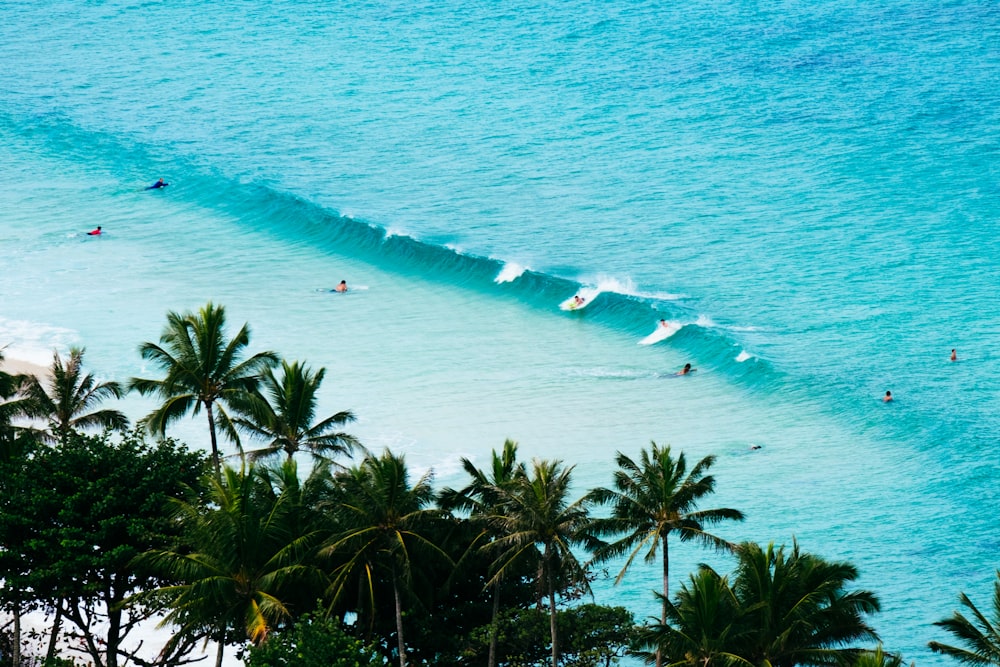 people surfing on body of water during daytime