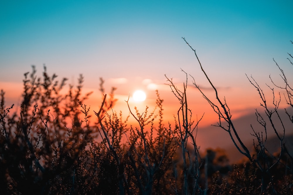 Sun Rising Pictures  Download Free Images on Unsplash