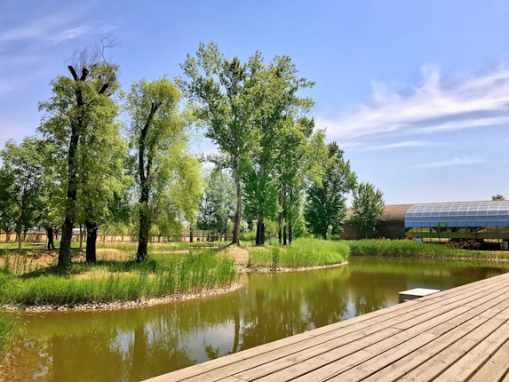 A serene park landscape featuring a calm pond surrounded by lush greenery and tall trees. In the background, there is a modern structure with a curved glass roof, possibly a greenhouse or visitor center. A wooden boardwalk runs alongside the pond, adding to the tranquil setting.