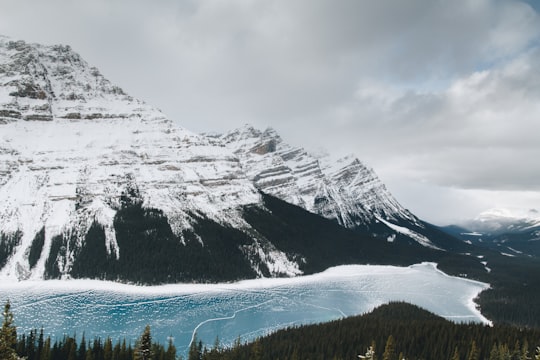 aerial photography of snow capped mountain near body of water and trees in Peyto Lake Canada