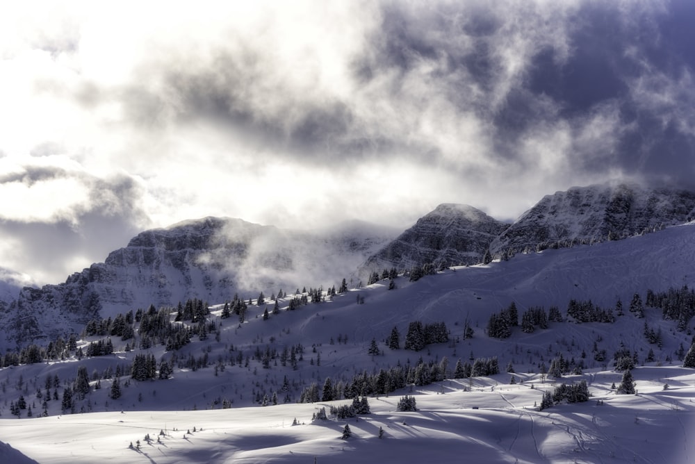 scenery of snow covered mountain