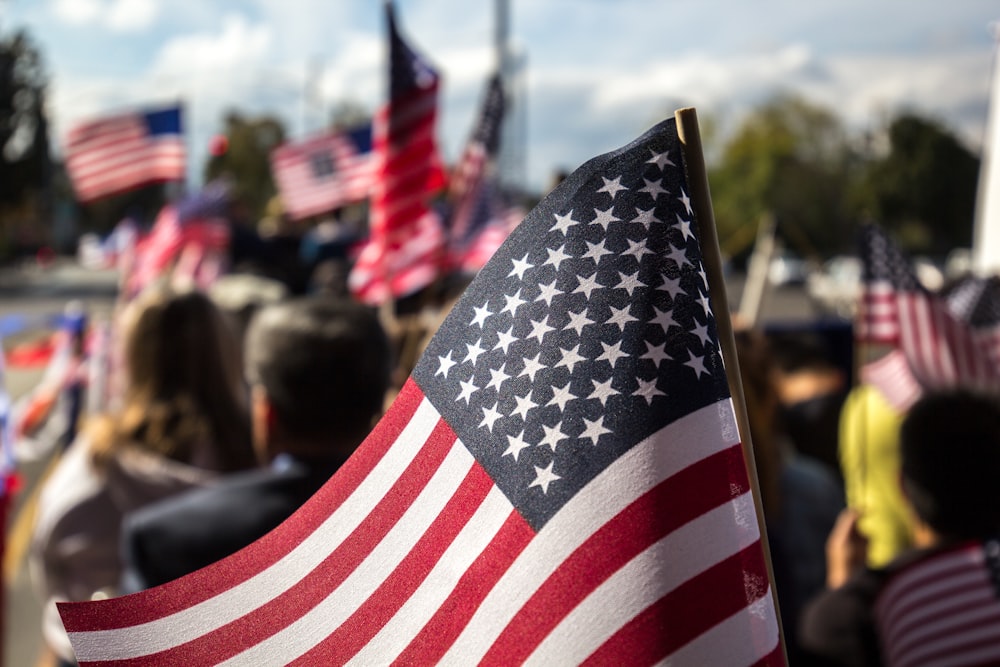 USA flag with rod