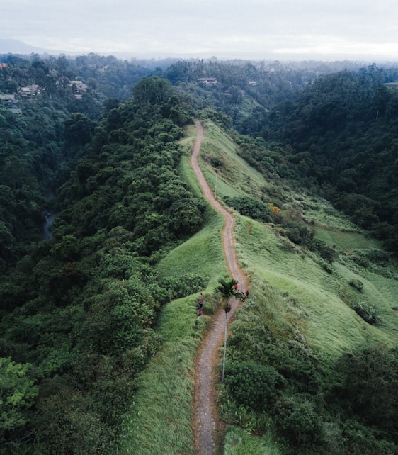 eagle-eye view photography of brown pathway