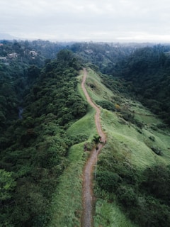 eagle-eye view photography of brown pathway