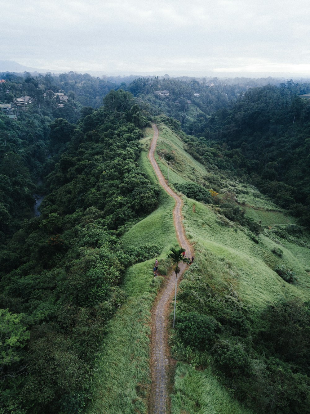 Fotografia Eagle-Eye View do Caminho Marrom