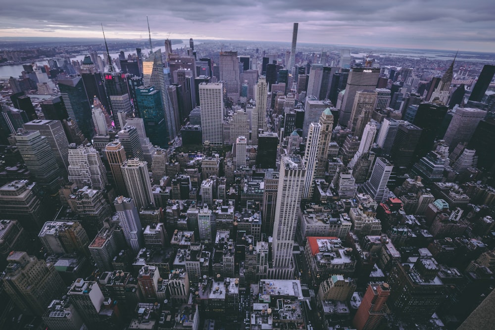 aerial photography of city buildings