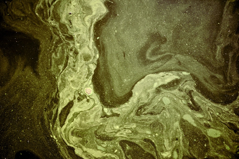 a close up of a green and black substance