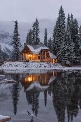 wooden house near pine trees and pond coated with snow during daytime