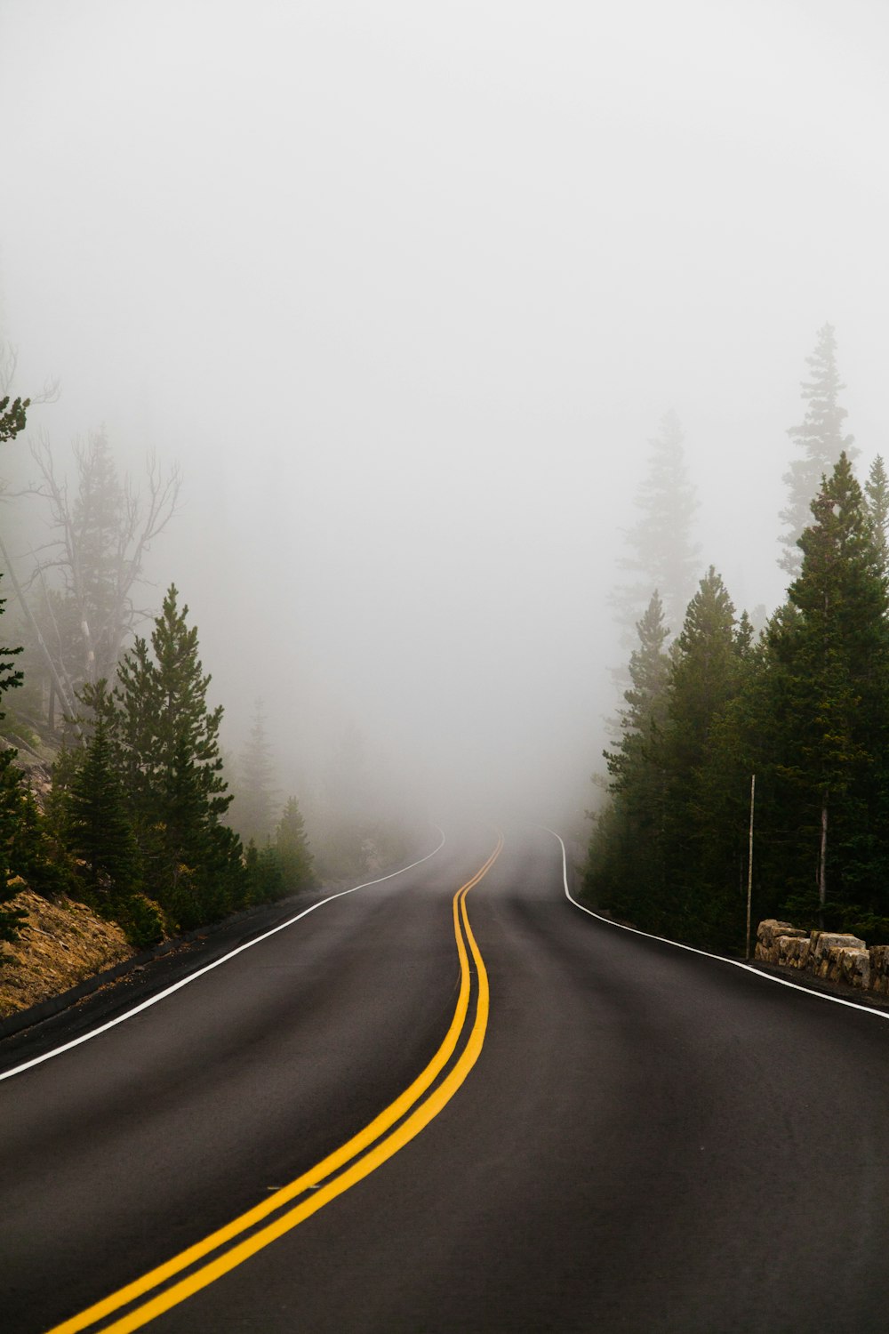foggy empty winding road
