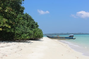 A tranquil beach scene featuring an empty wooden boat resting on a pristine sandy shore, with lush green foliage bordering the edge of the beach. The clear turquoise water gently laps at the sand, and the sky is bright blue with a few scattered clouds.
