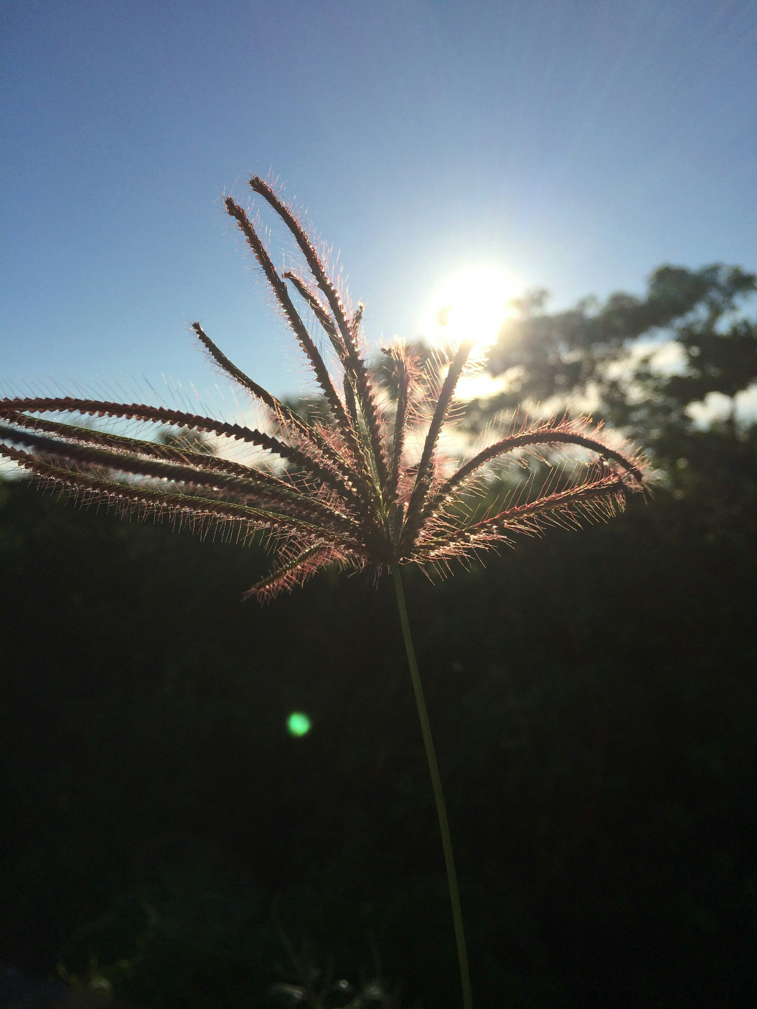 Narrative Transportation: How Stories Bypass Critical Analysis