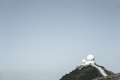 A hilltop installation with large white radar domes surrounded by a security fence. The sky is clear, and the landscape is mostly barren with some shrubbery.