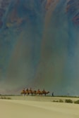 A group of people riding camels traverse across a vast desert landscape. The sand is marked by gentle dunes, and the sky above appears vast and expansive, possibly indicating a time of day when the sun is low. The scene conveys a sense of adventure and exploration.