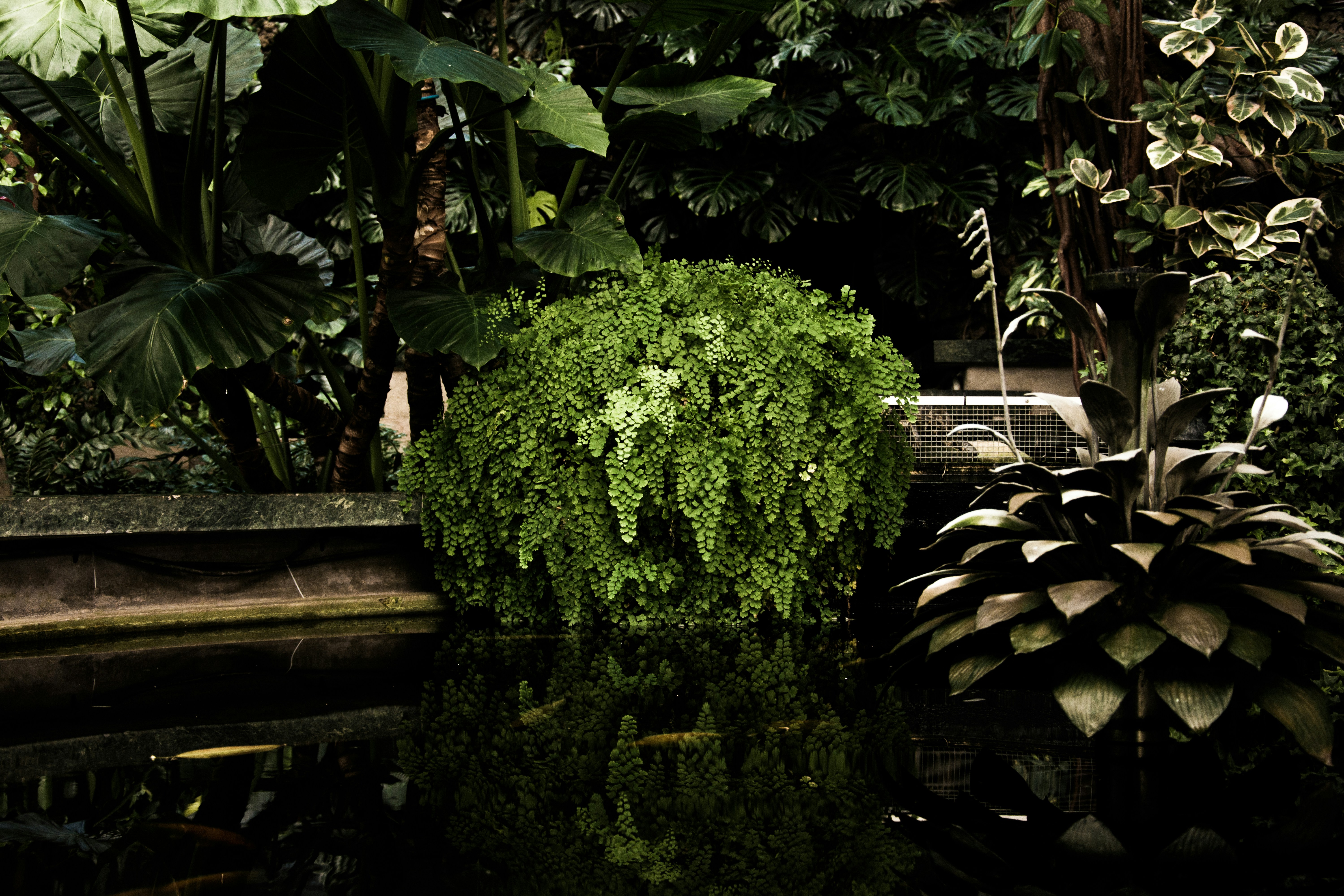 Photo by new_memel_photography