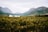 A picturesque vineyard stretches across the landscape, leading to a cluster of white farm buildings nestled at the base of majestic mountains. The scene is enveloped in lush greenery under an overcast sky, adding a serene atmosphere to the rural setting.
