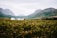 A picturesque vineyard stretches across the landscape, leading to a cluster of white farm buildings nestled at the base of majestic mountains. The scene is enveloped in lush greenery under an overcast sky, adding a serene atmosphere to the rural setting.