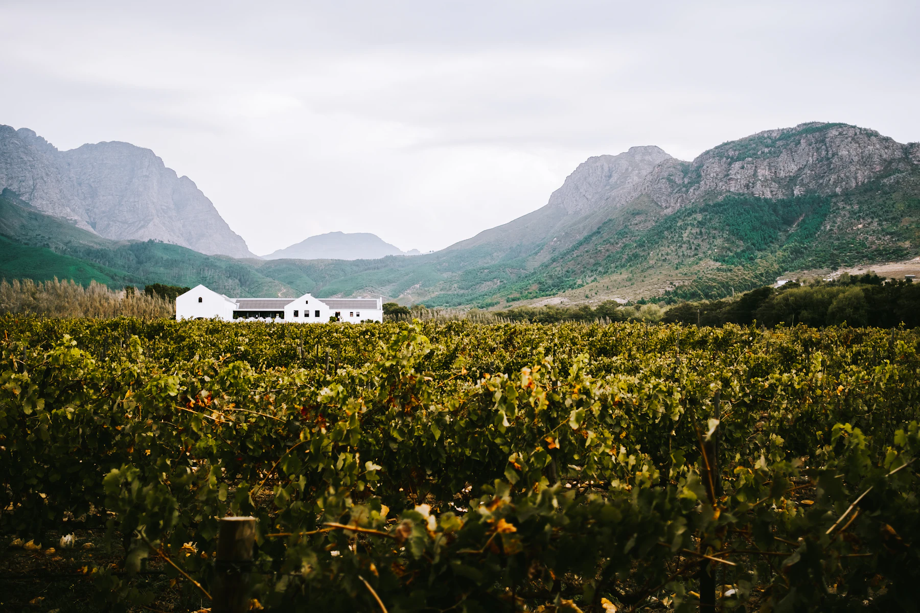 Stellenbosch & Franschhoek, South Africa destination photo