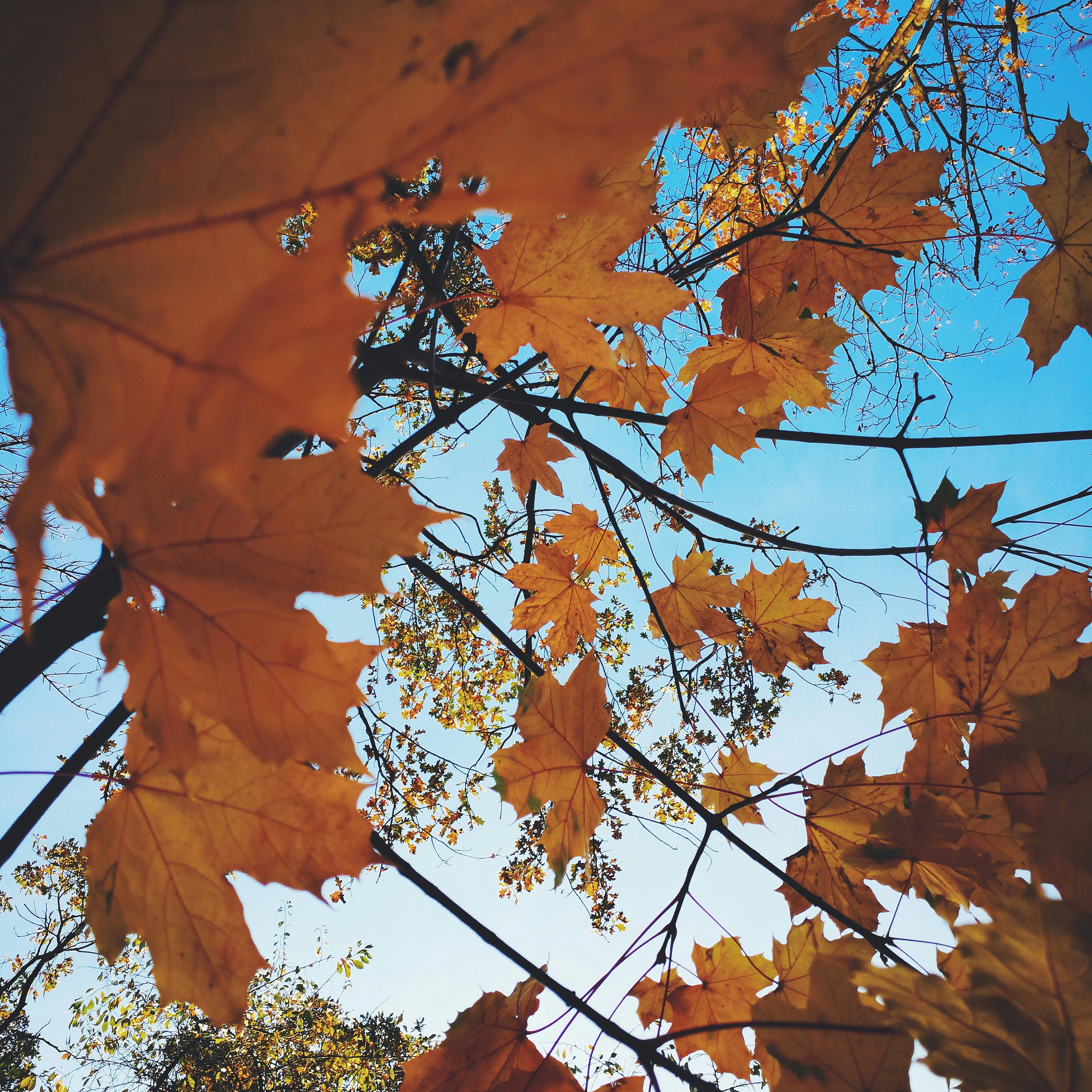 Why Borders Keep Moving: The Unfinished Business of Nation-Building