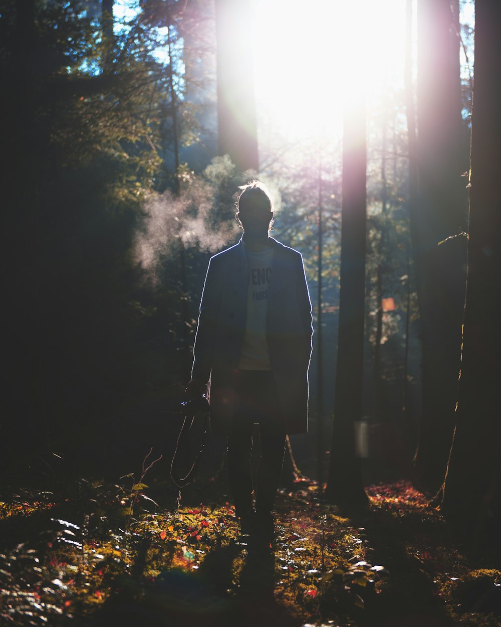 silhouette of man standing in the forest