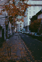 Author walking thoughtfully along a quiet urban street with autumn leaves falling.