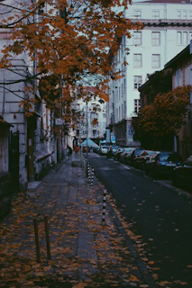 Author walking thoughtfully along a quiet urban street with autumn leaves falling.