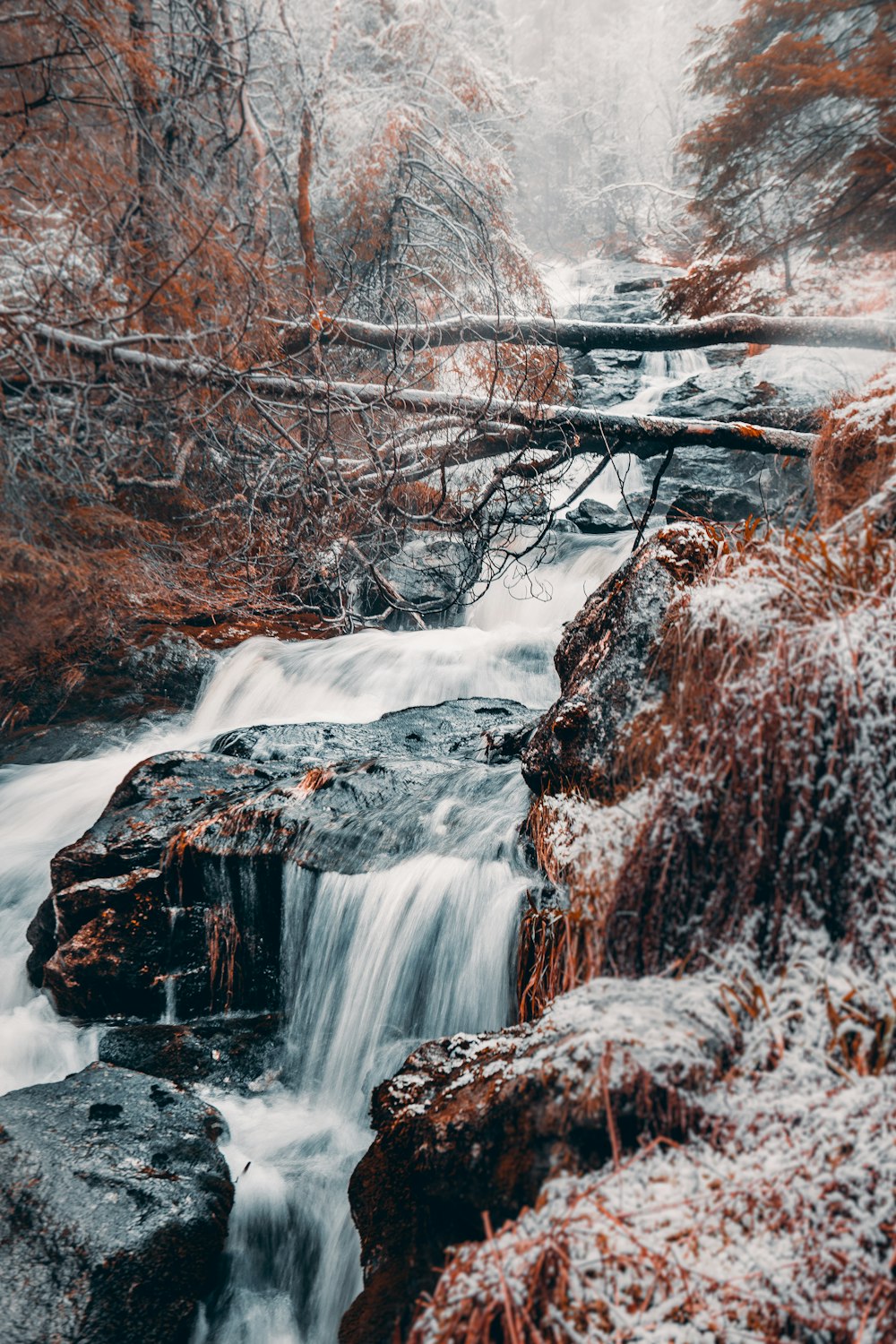 landscape photography of mountains, trees, and rocks