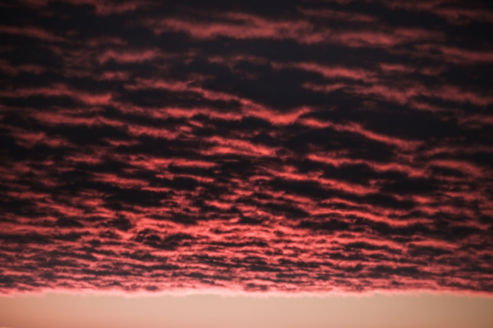 landscape photography of red clouds