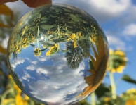 A crystal ball reflects a vivid image of sunflowers under a bright blue sky with scattered white clouds. The scene inside the sphere is upside down, showcasing detailed yellow sunflower petals and green leaves.