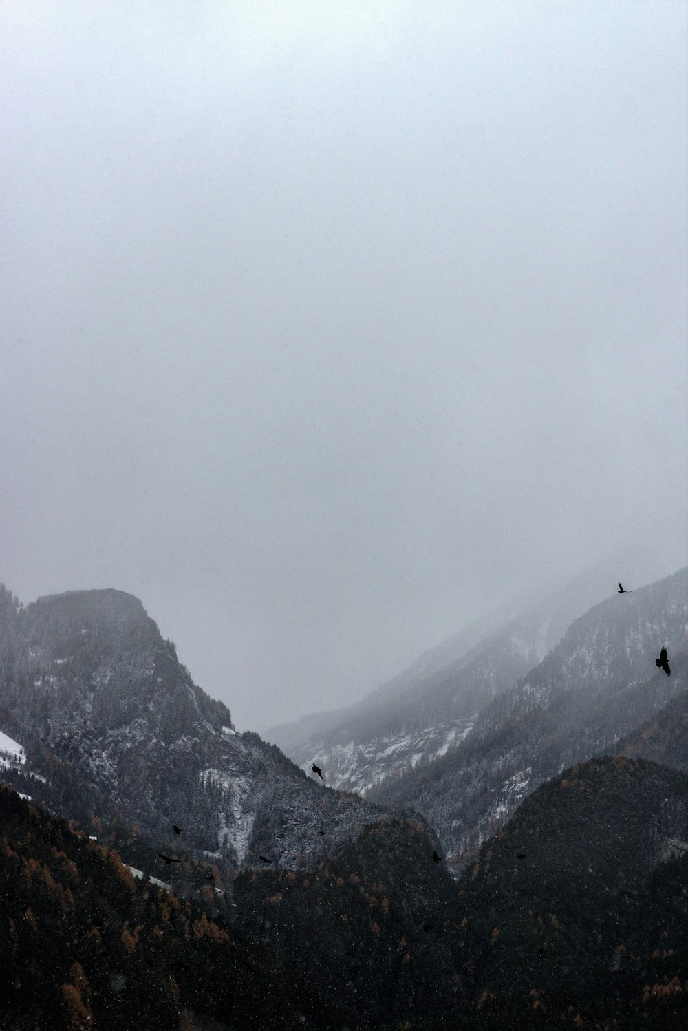 black mountain covered with thick fog