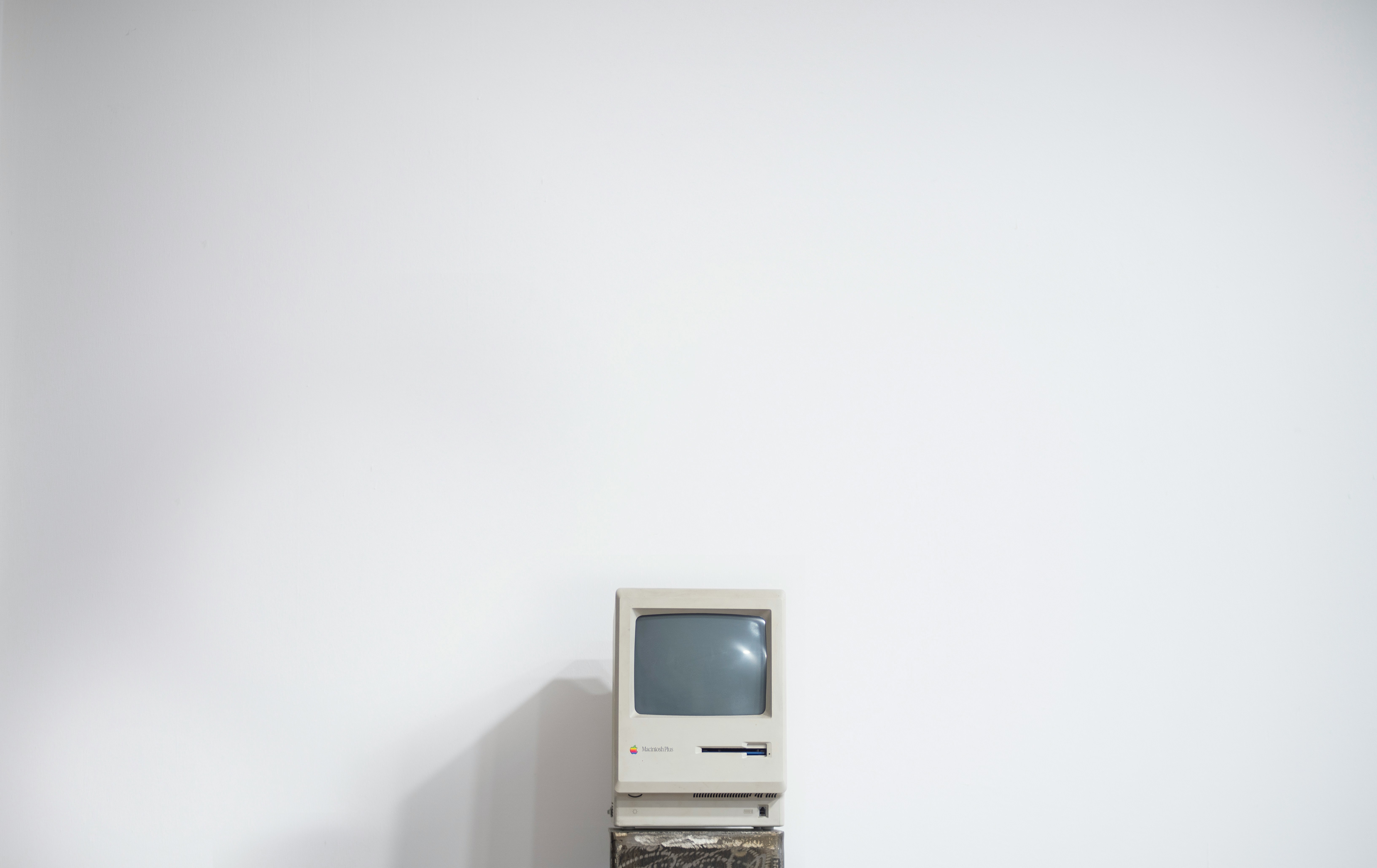Your Old Internet Self Is an Art Installation Now