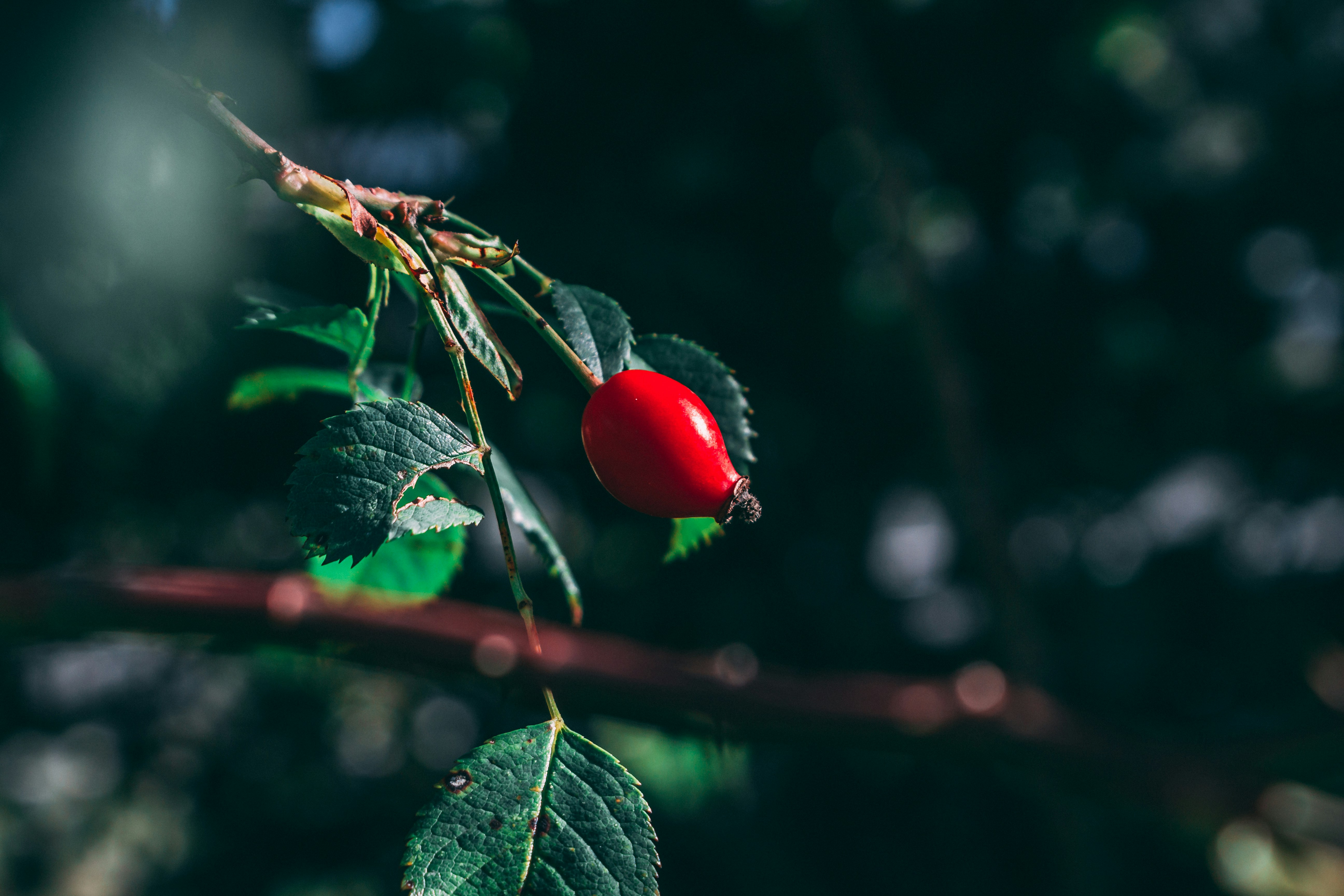 Photo by dustinwenninger