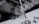 A person is skillfully painting intricate designs with a fine brush on a white surface, demonstrating precision and artistic flair. The focus is on the detailed artwork and the careful hand movements of the artist.