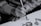 A person is skillfully painting intricate designs with a fine brush on a white surface, demonstrating precision and artistic flair. The focus is on the detailed artwork and the careful hand movements of the artist.
