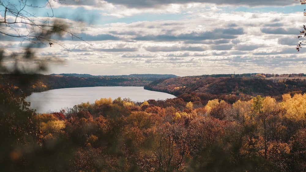 river surrounded by brown leafed trees near mountains