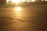 An aesthetic shot of a basketball court bathed in gentle morning light, emphasizing calm.