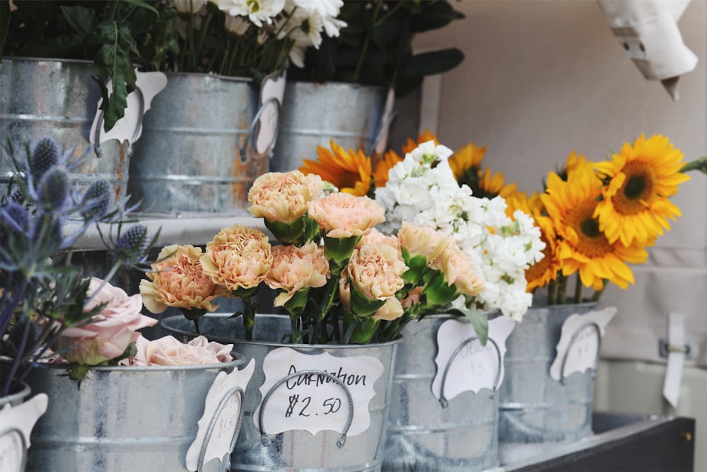 assorted-colored petaled flowers