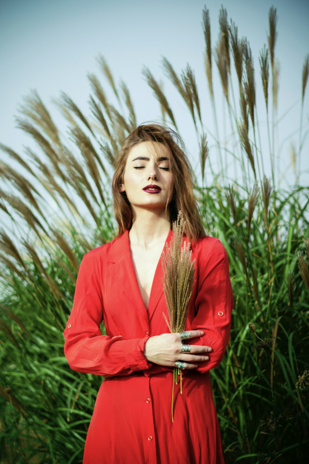 woman holding brown wheat near green grasses