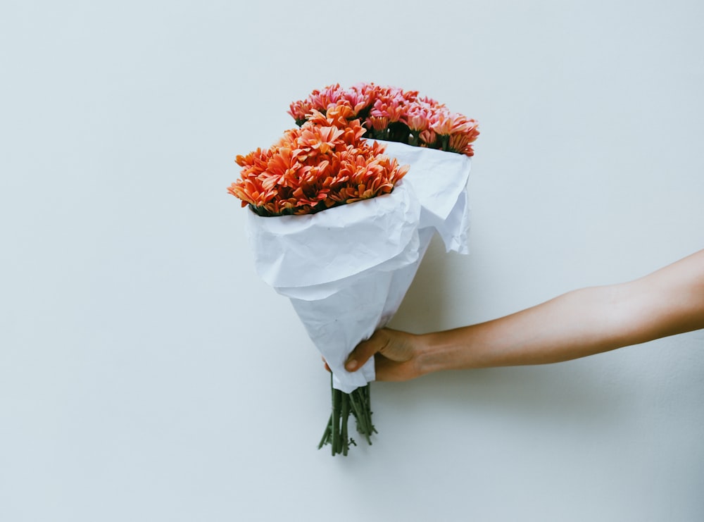 persona sosteniendo flores de pétalos rojos