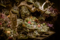 A collection of unique, handcrafted terrariums displayed on a wooden shelf.