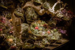 A collection of delicate glass terrariums hanging from a gnarled tree branch, each containing a variety of small succulents and moss. The scene is warmly lit, highlighting the lush greenery and vibrant pops of red and yellow from blooming succulents. The background features an array of purple flowers, adding depth to the setting.