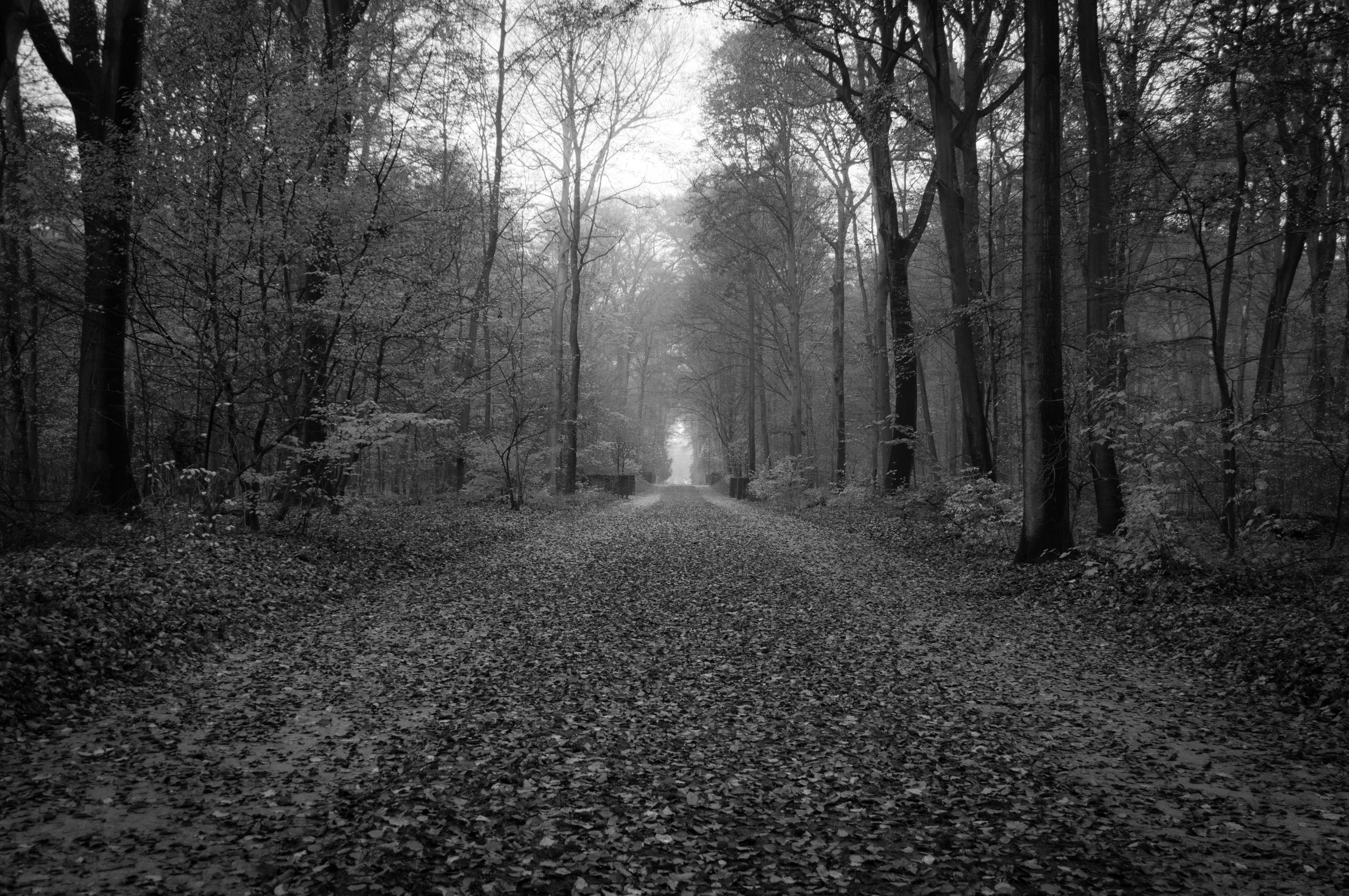 rather，rather than