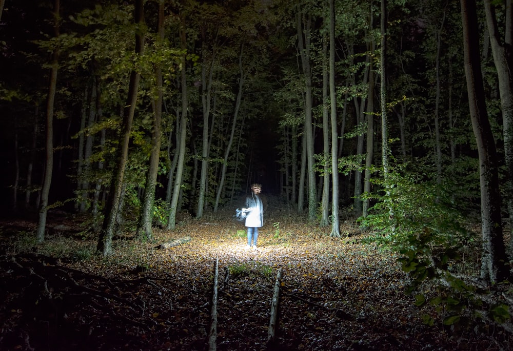 Mujer de pie sosteniendo una linterna en el bosque