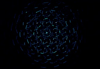 light decorations in dark area
