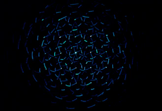 light decorations in dark area