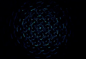 light decorations in dark area