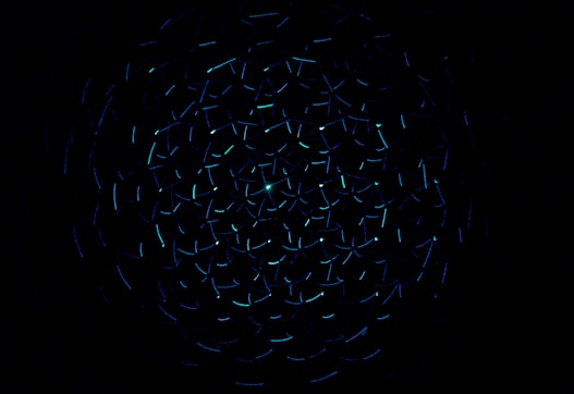 light decorations in dark area
