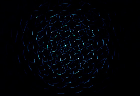 light decorations in dark area